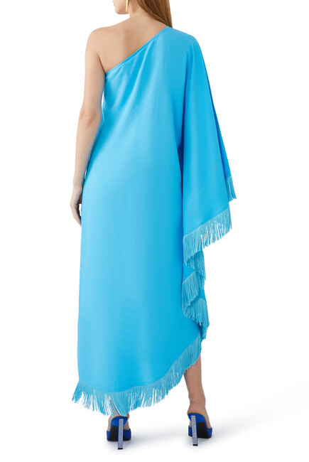 Ubud One-Shoulder Feather-Trimmed Maxi Dress
